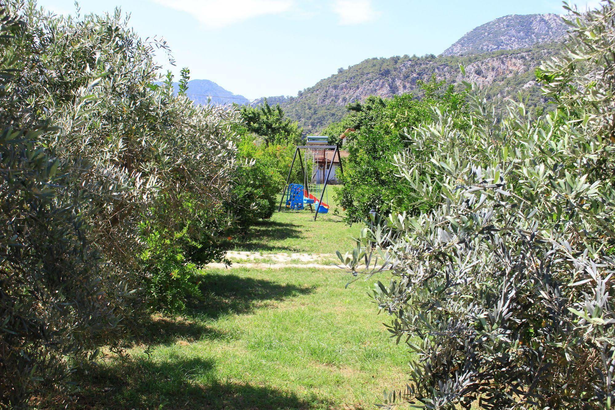 Ikiz Villas Çıralı Exterior foto